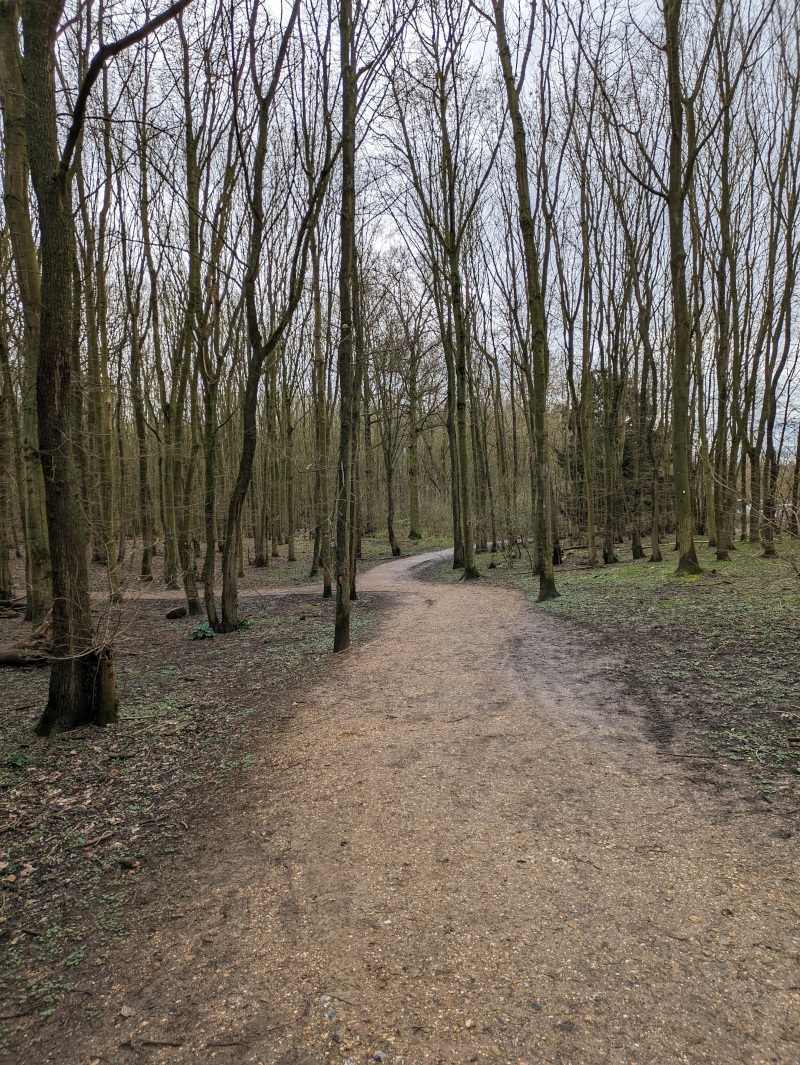 Pathway through woodlands.