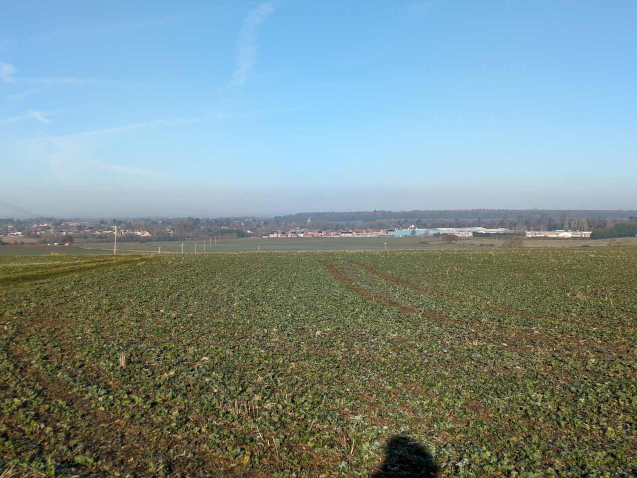 View of Gamlingay from Potton Wood