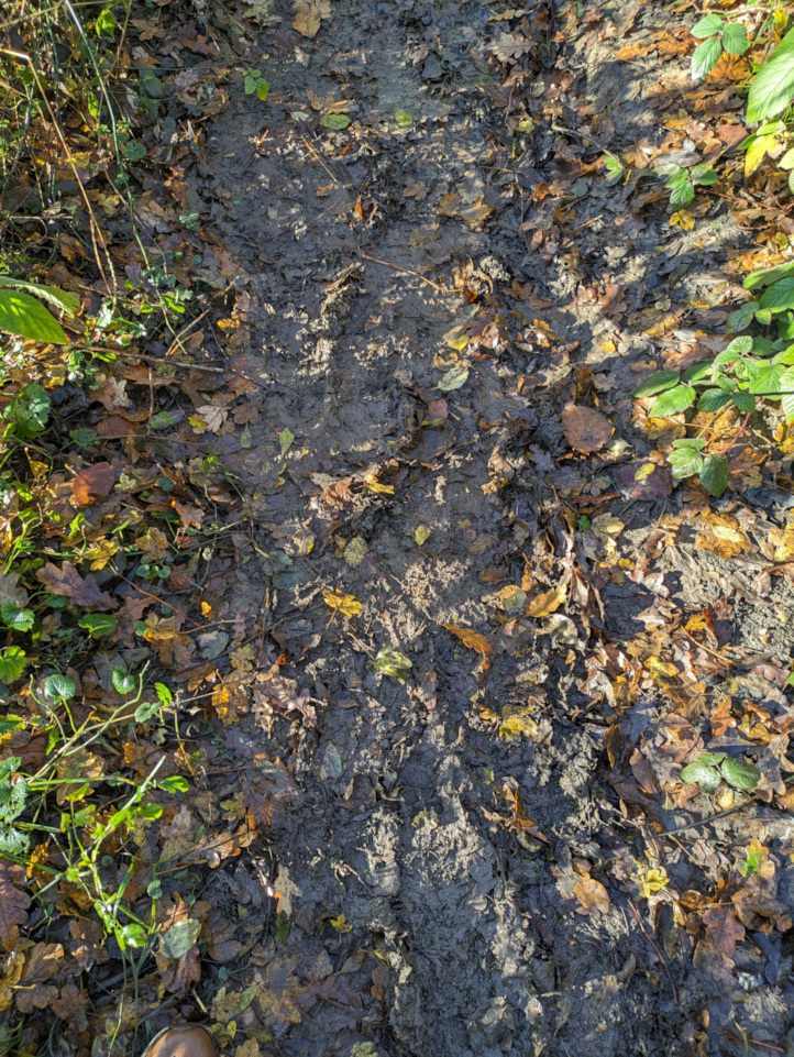 Muddy Footpath