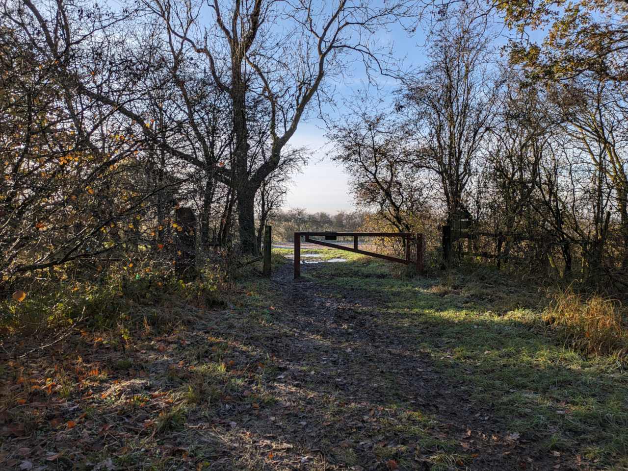 Footpath to exit gate, surrunding by trees and a muddy path