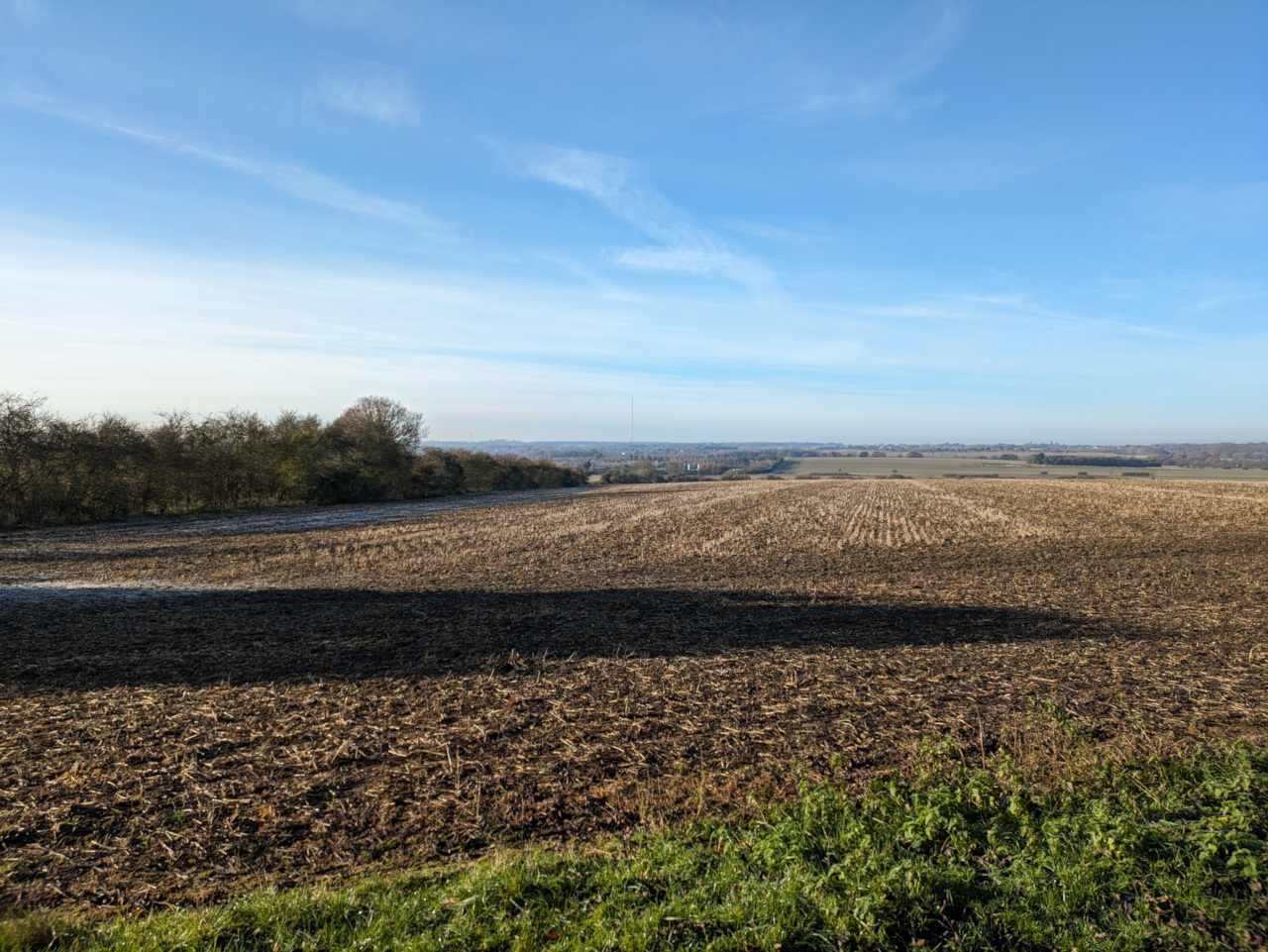 View towards Sandy Heath over farmland