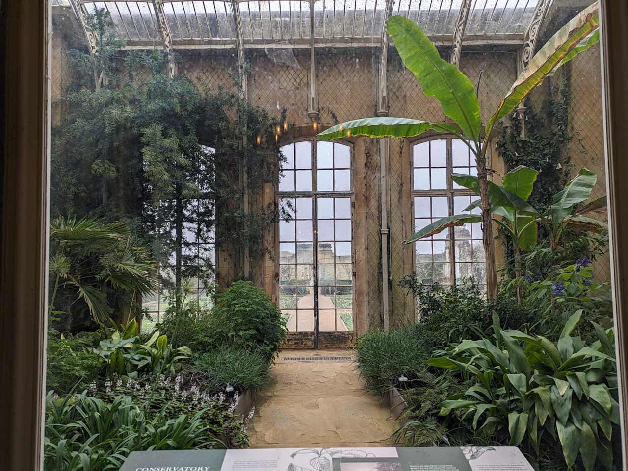 Conservatory with green plants and trees.