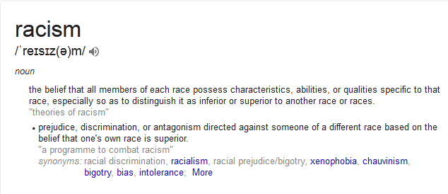 Google definition of racism.